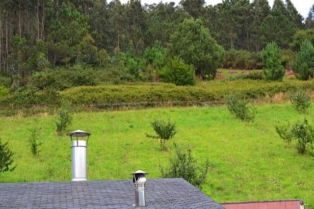 Apartamentos Rurales Casa Ron Coana Εξωτερικό φωτογραφία