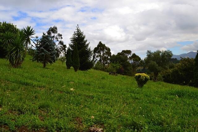 Apartamentos Rurales Casa Ron Coana Εξωτερικό φωτογραφία