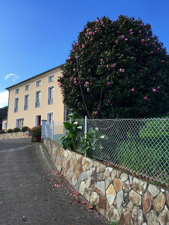 Apartamentos Rurales Casa Ron Coana Εξωτερικό φωτογραφία